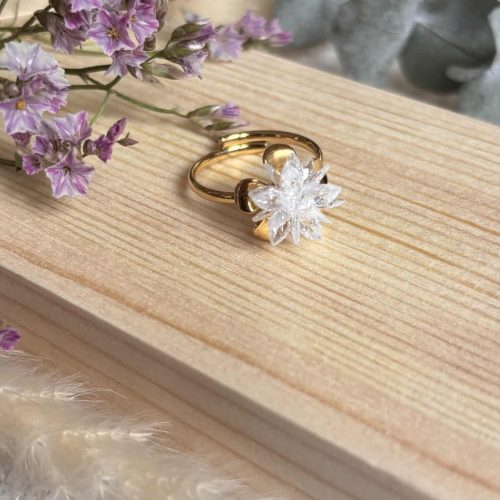 Bague en Acier Inoxydable