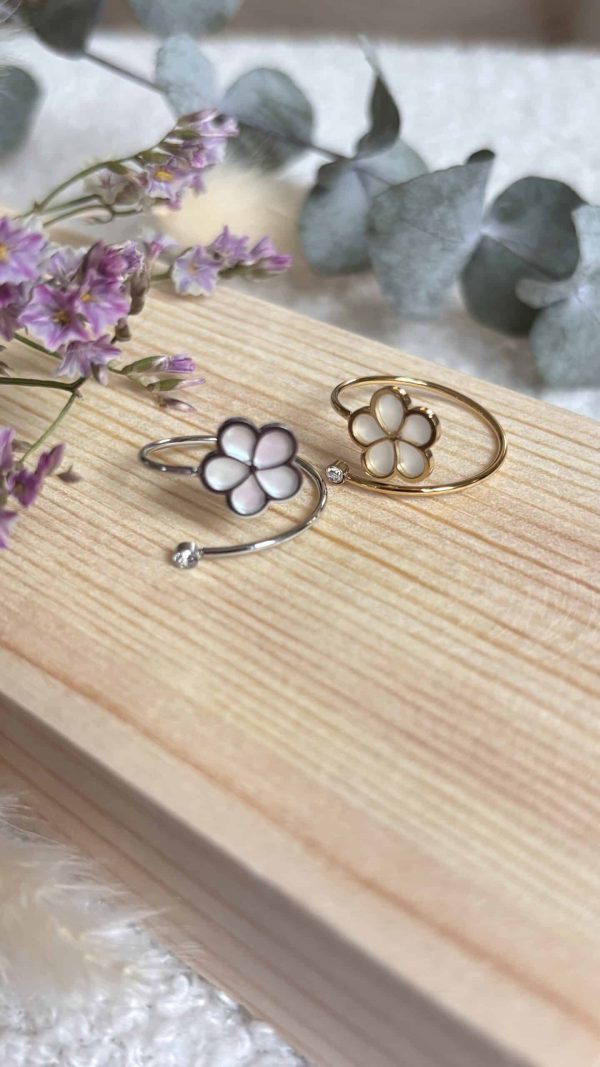 Bague en Acier Inoxydable