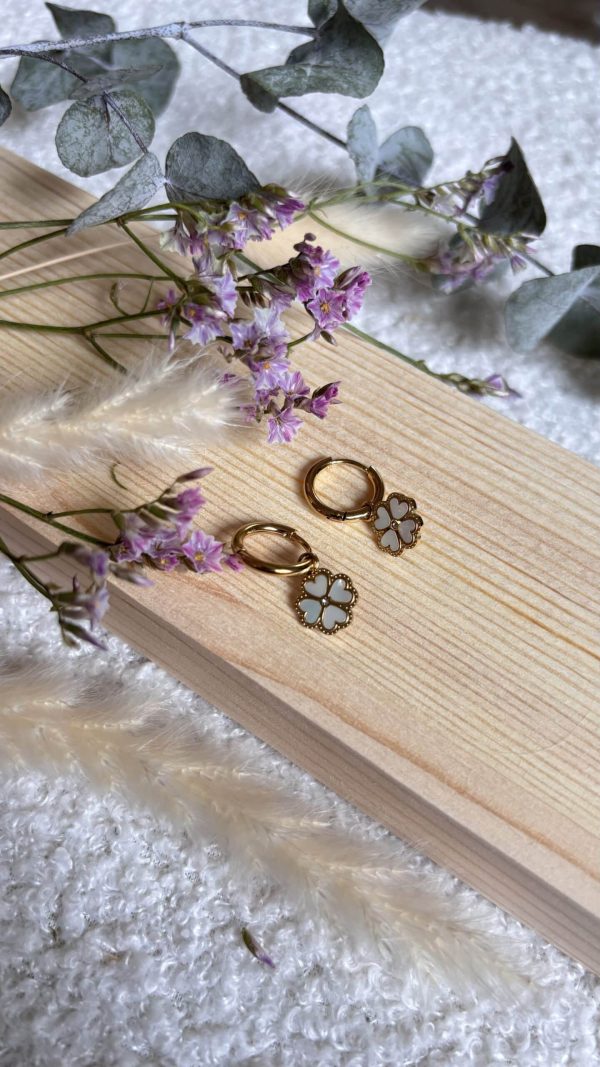 Boucles d'oreilles en Acier Inoxydable