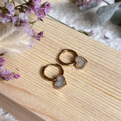 Boucles d'oreilles en Acier Inoxydable