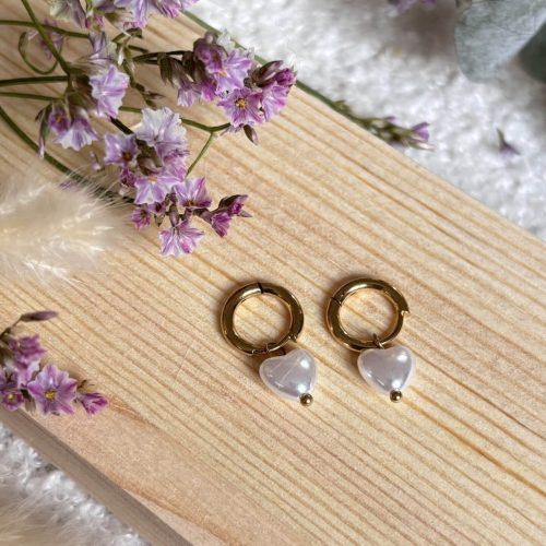 Boucles d'oreilles en Acier Inoxydable