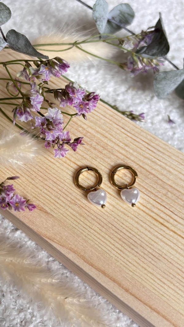 Boucles d'oreilles en Acier Inoxydable