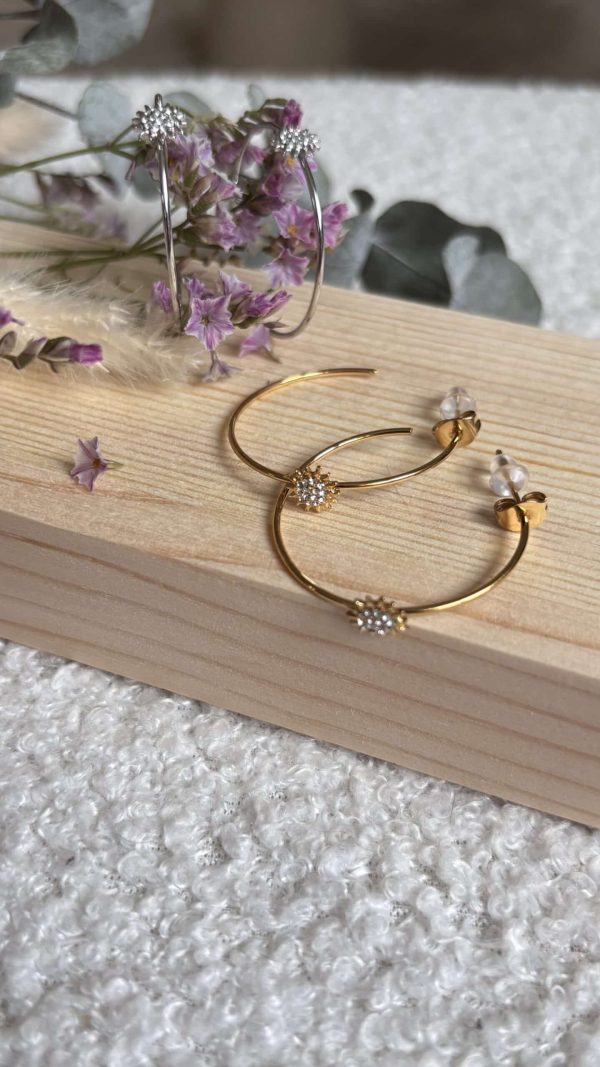 Boucles d'oreilles en Acier Inoxydable